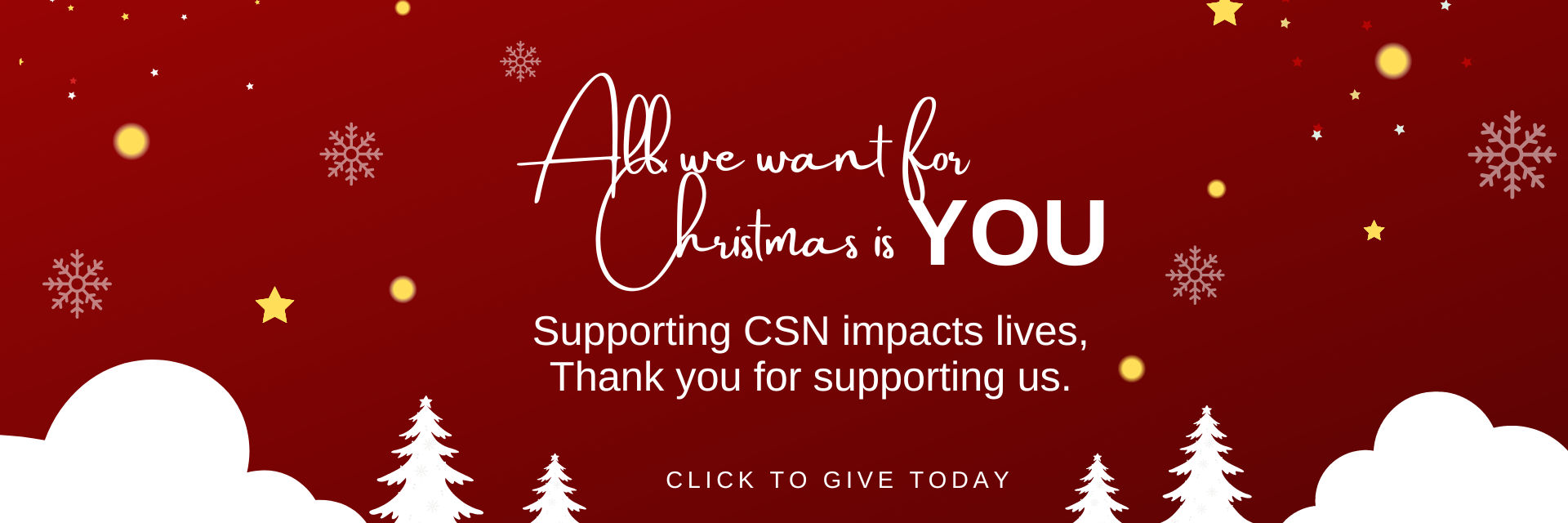 CSN Donation Banner